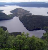 Fra Bukkebakkane, Klefjell. 2008